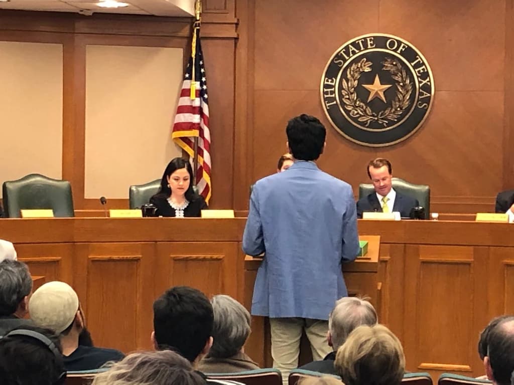 A girl speaking to a legislative committee about Lemonade Day