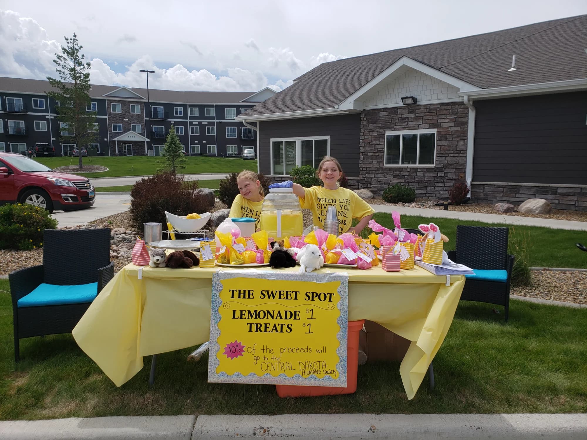 Two kids behind The Sweet Spot lemonade and treats table